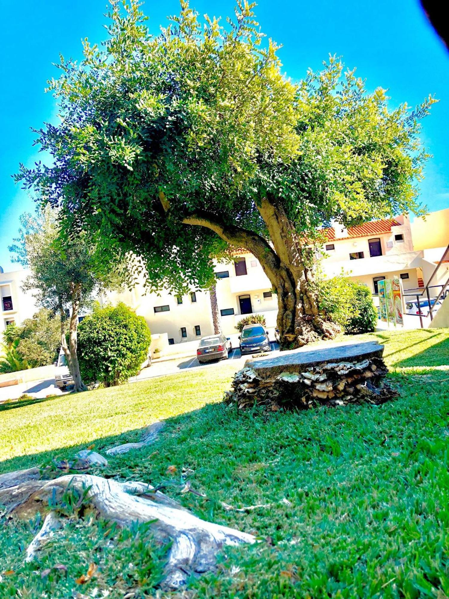 Albufeira Jardim - Apartamentos Turisticos Extérieur photo